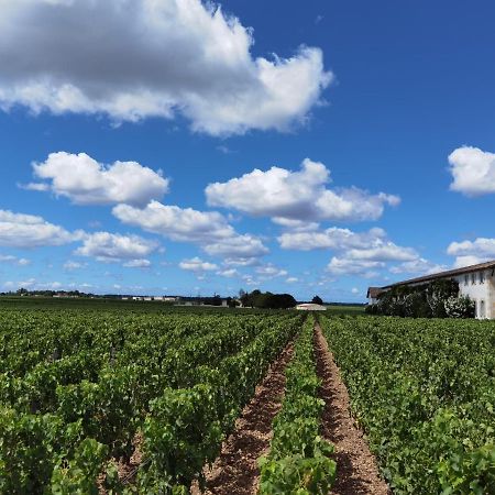 Au Coeur Des Vignobles Panzió Saint-Estèphe Kültér fotó